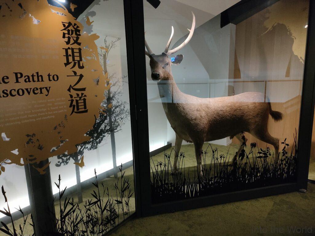 国立台湾博物館 展示 動植物 見どころ 感想 基本情報