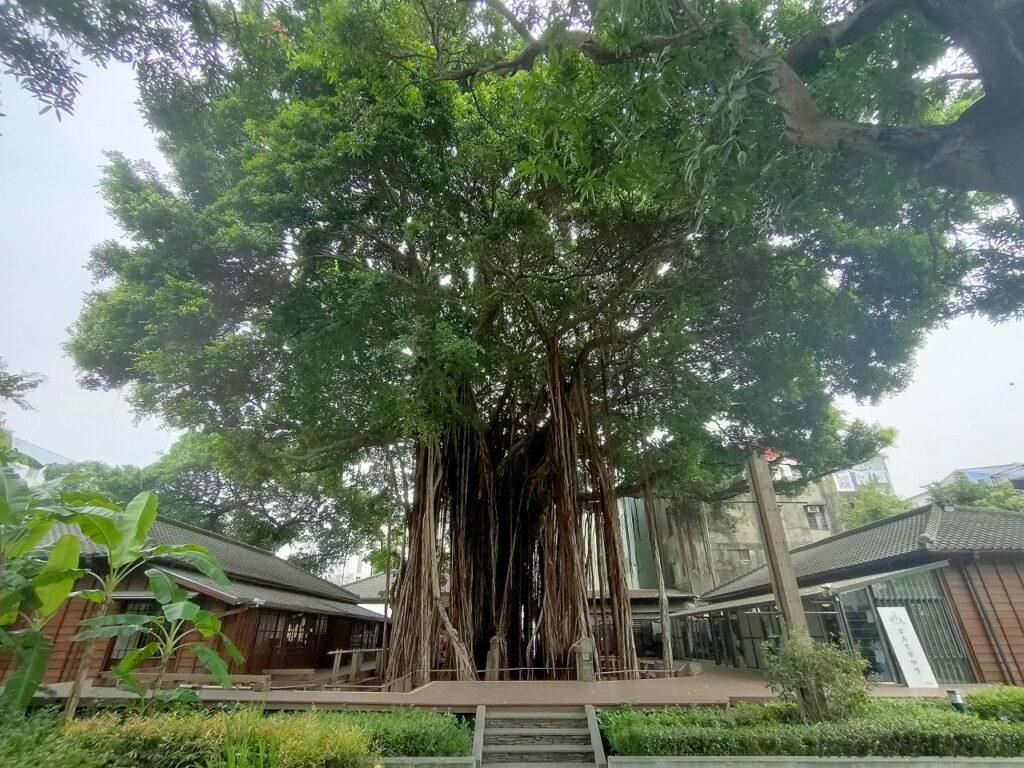 台中文学館 見どころ 感想 基本情報