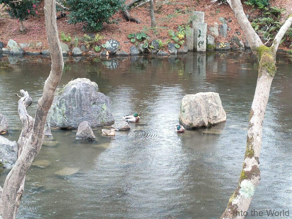 円山公園 見どころ 感想 基本情報