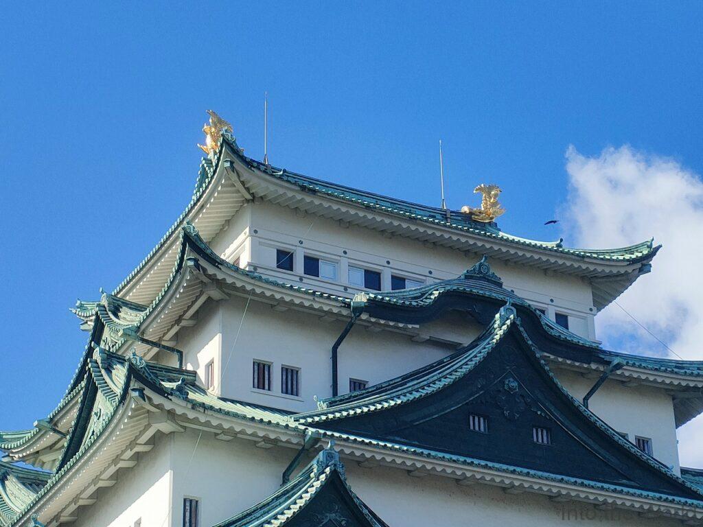 名古屋城 見どころ 感想 基本情報