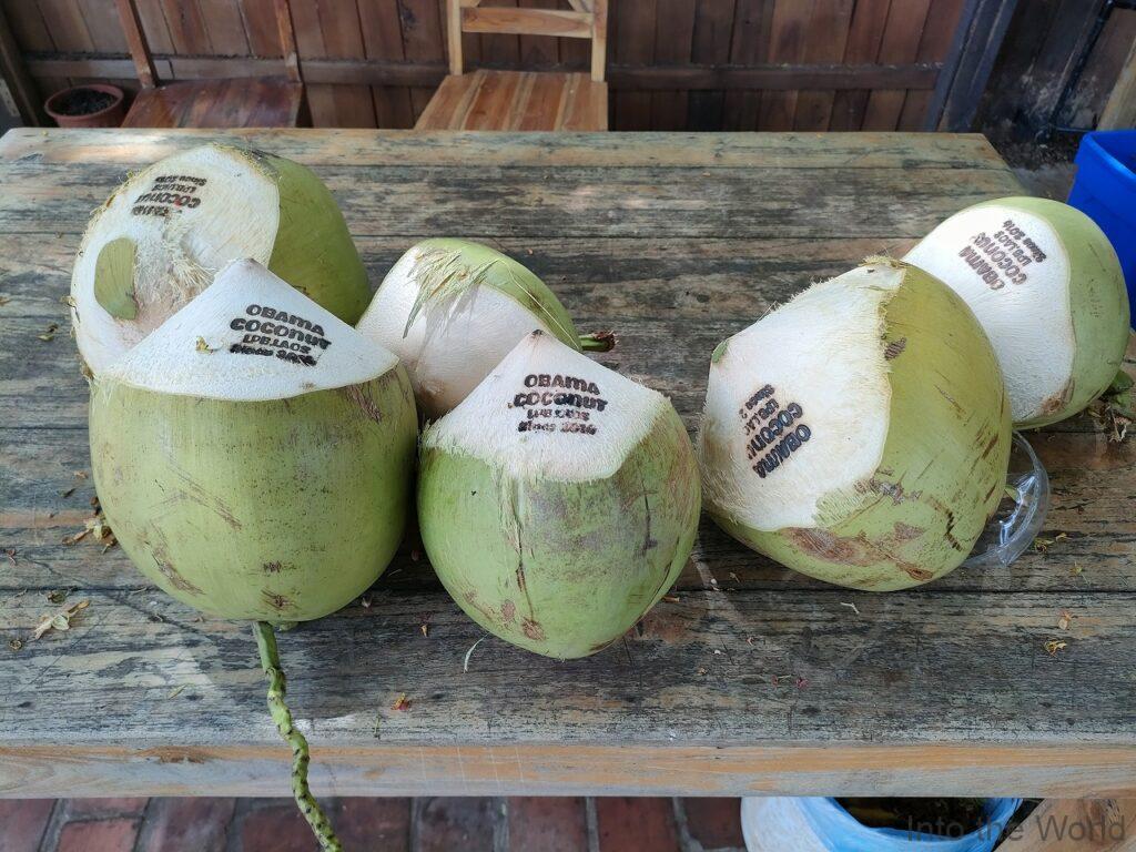 メコンサンセットビューレストラン オバマココナッツ ルアンパバーン