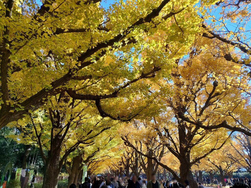 聖徳記念絵画館 見どころ 感想