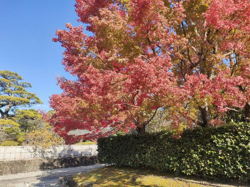 紅葉山庭園 駿府城公園 見どころ 感想 基本情報