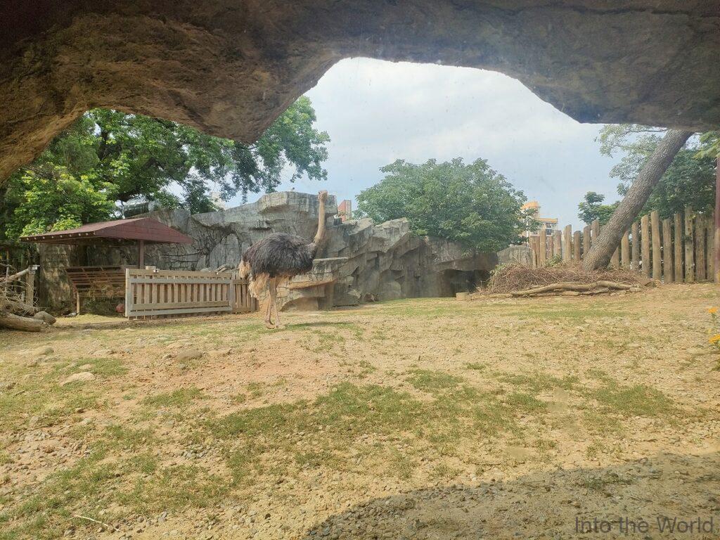 新竹市立動物園 見どころ 感想