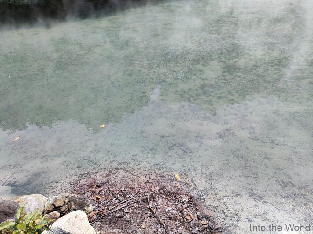 地熱谷 北投温泉 見どころ 感想
