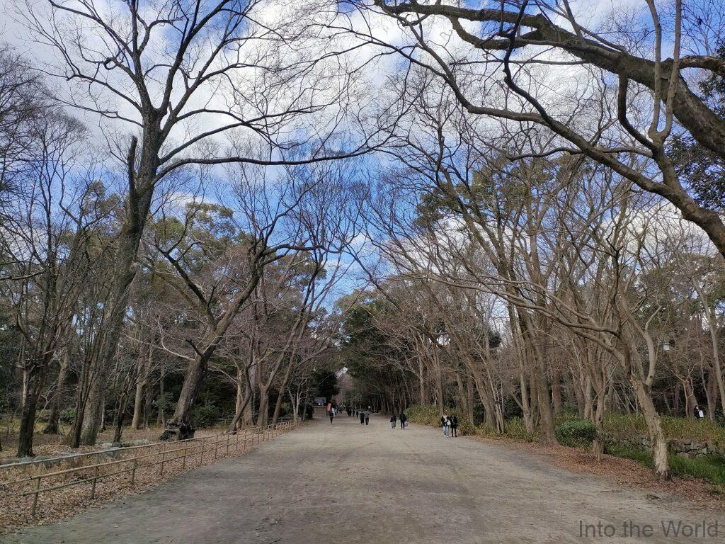 下鴨神社 賀茂御祖神社 糺の森