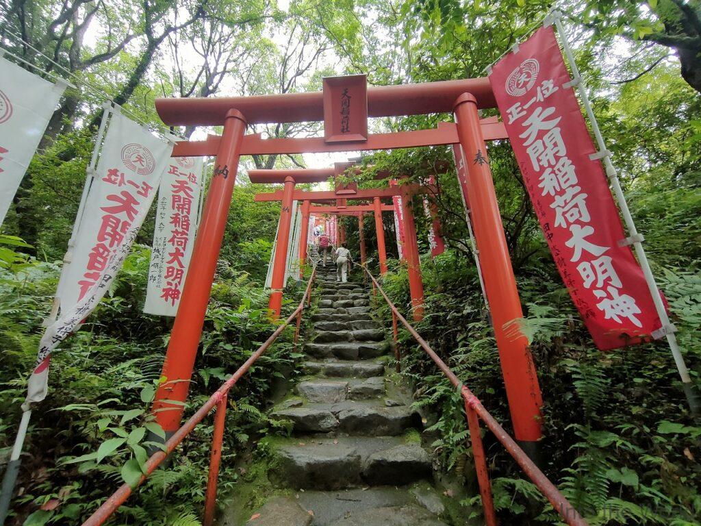 天開稲荷社 見どころ 感想