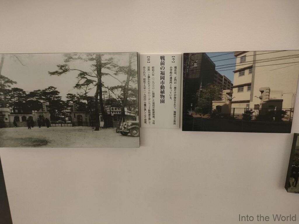 博多町家ふるさと館 展示棟 見どころ 感想