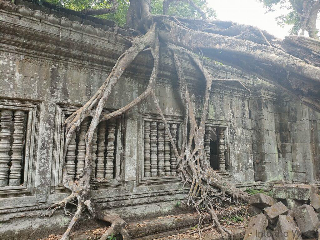 ベンメリア 見どころ 感想